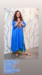 Dia Mirza feet photo thumbnail