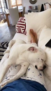 Daisy Fuentes feet photo thumbnail