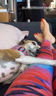 Yoseline Hoffman feet photo thumbnail