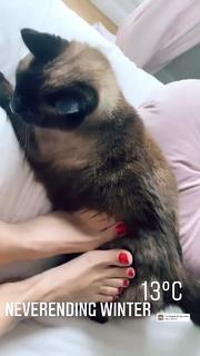 Anna Safroncik feet photo thumbnail