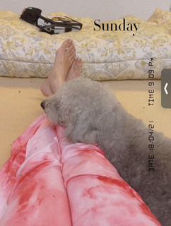 Tamannaah Bhatia feet photo thumbnail