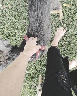 Nicole Neumann feet photo thumbnail