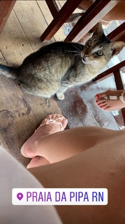 Franciely Freduzeski feet photo thumbnail