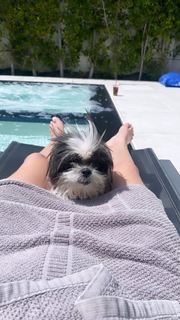 Ashley Benson feet photo thumbnail