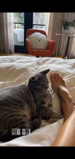 Brooke Burke feet photo thumbnail