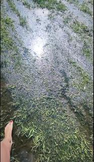 Edyta Górniak feet photo thumbnail