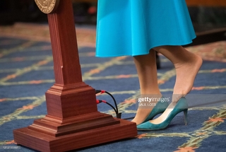 Nancy Pelosi feet photo 3
