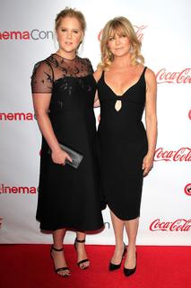 Amy Schumer feet photo thumbnail
