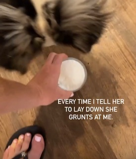Holly Holm feet photo thumbnail