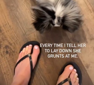 Holly Holm feet photo thumbnail