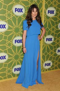 Lea Michele feet photo thumbnail