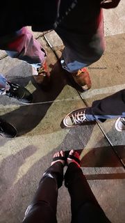 Dove Cameron feet photo thumbnail