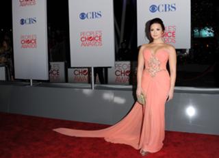 Demi Lovato feet photo thumbnail