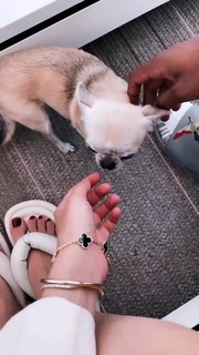 Xenia Tchoumitcheva feet photo thumbnail