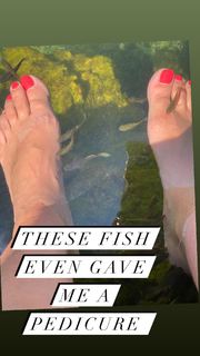 Sarah Michelle Gellar feet photo thumbnail