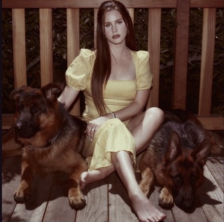 Lana Del Rey feet photo thumbnail