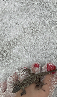 Corinna Kopf feet photo thumbnail