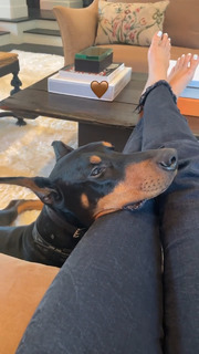 Kendall Jenner feet photo thumbnail