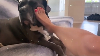 Kaley Cuoco feet photo thumbnail