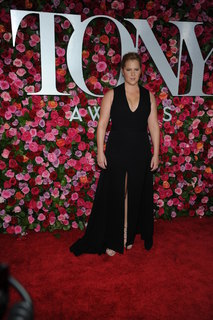 Amy Schumer feet photo thumbnail