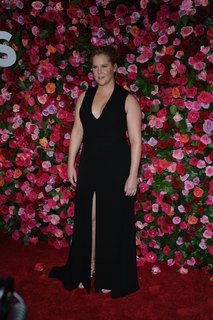 Amy Schumer feet photo thumbnail