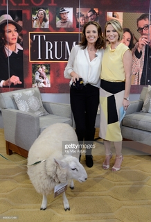 Amy Robach feet photo thumbnail