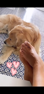 Veronica Maya feet photo thumbnail