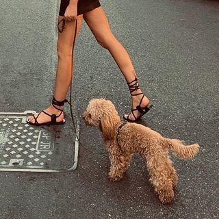Alessia Marcuzzi feet photo thumbnail