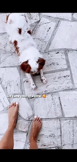 Giorgia Crivello feet photo thumbnail