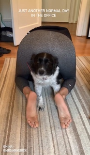 Nina Dobrev feet photo thumbnail
