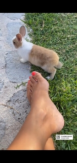 Veronica Maya feet photo thumbnail
