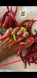 Veronica Maya feet photo thumbnail