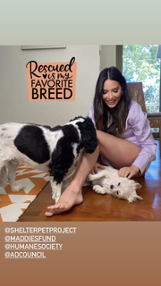 Olivia Munn feet photo thumbnail