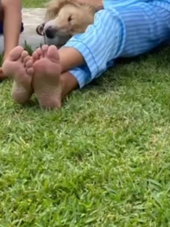 Veronica Maya feet photo thumbnail