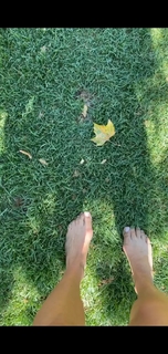 Kate Walsh feet photo thumbnail