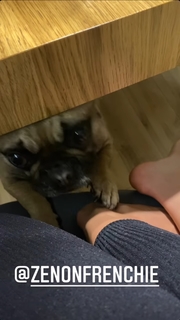 Karolina Kowalkiewicz feet photo thumbnail