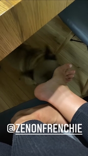 Karolina Kowalkiewicz feet photo thumbnail
