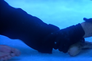 Megan Fox feet photo thumbnail