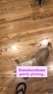 Angela Kinsey feet photo thumbnail