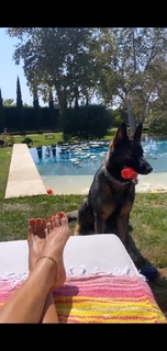 Brooke Burke feet photo thumbnail