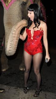 Katy Perry feet photo thumbnail