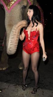 Katy Perry feet photo thumbnail