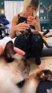 Gabbie Hanna feet photo thumbnail