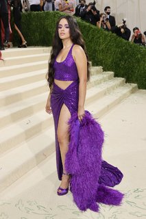 Camila Cabello feet photo thumbnail