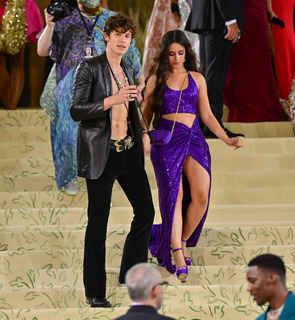 Camila Cabello feet photo thumbnail