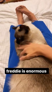 Gabbie Hanna feet photo thumbnail