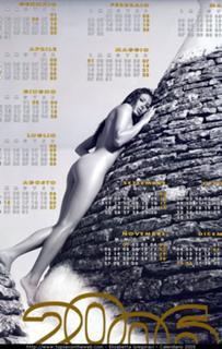 Elisabetta Gregoraci feet photo thumbnail