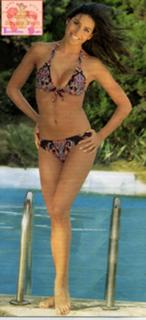 Elisabetta Gregoraci feet photo thumbnail