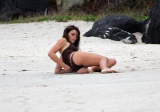 Elizabeth Hurley feet photo thumbnail
