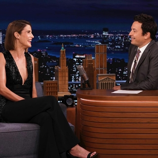 Cobie Smulders feet photo thumbnail